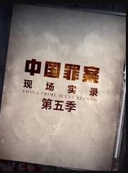 罪案現(xiàn)場(chǎng)實(shí)錄第五季(全集)