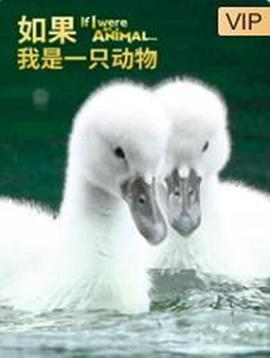 如果我是一只動(dòng)物(全集)