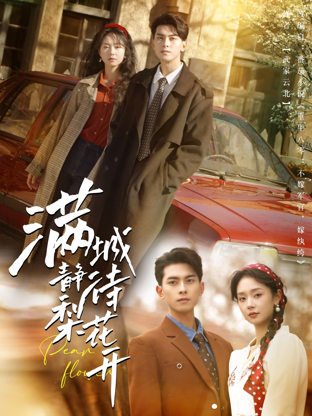 滿城靜待梨花開(全集)