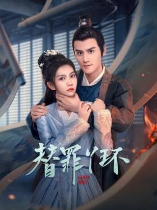 替罪丫環(huán) 第03集