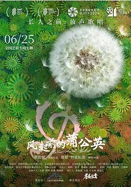 風(fēng)起前的蒲公英